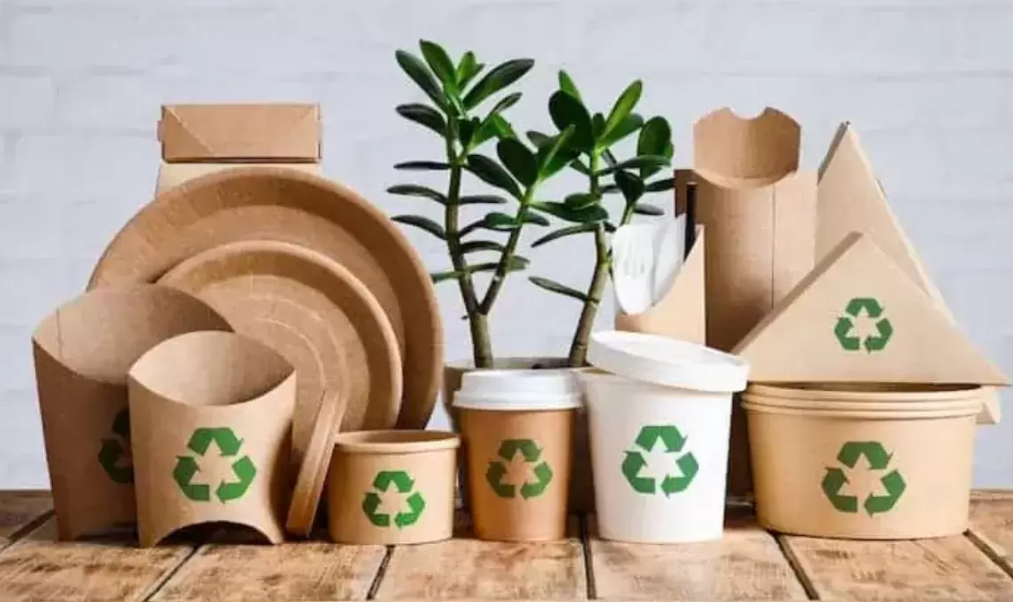 Embracing the Future with Biodegradable Food Packaging Solutions